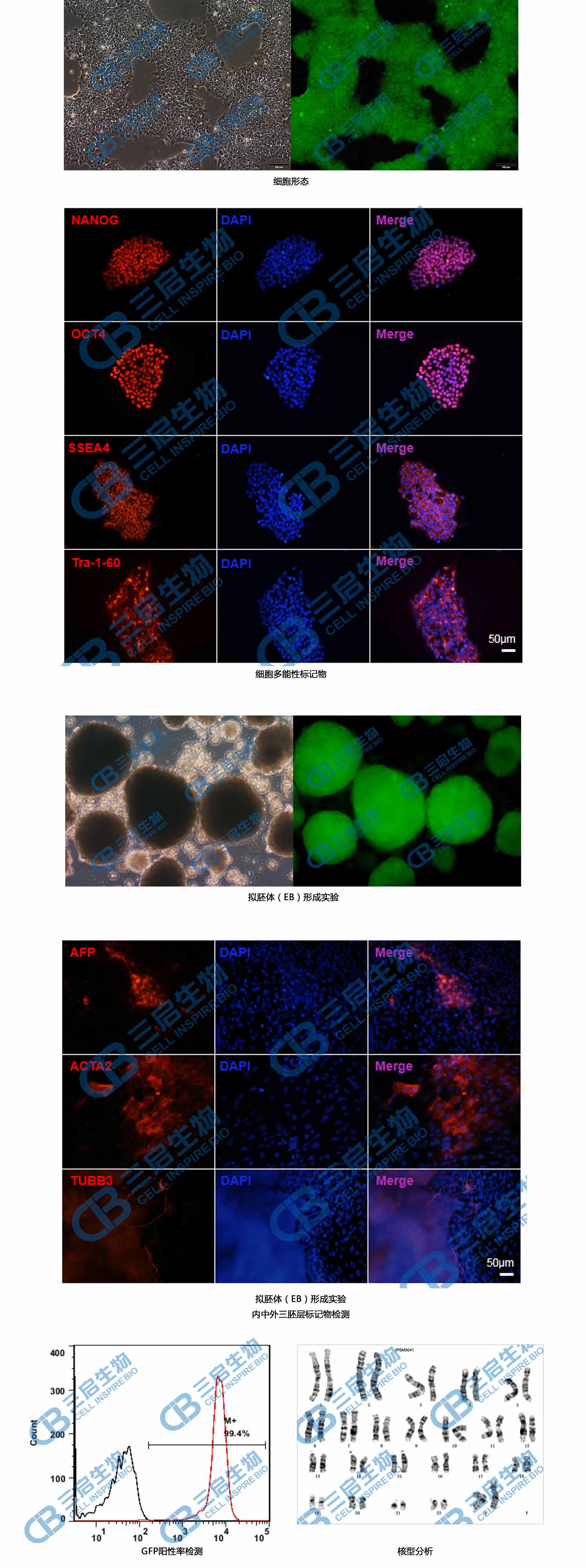 iPSM0041 web.jpg